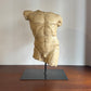 Male torso sculpture
