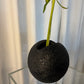 Black bulbous vase