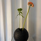 Black bulbous vase