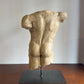 Male torso sculpture
